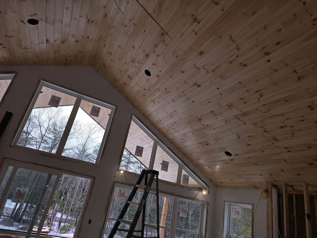 interior details with wooden ceiling