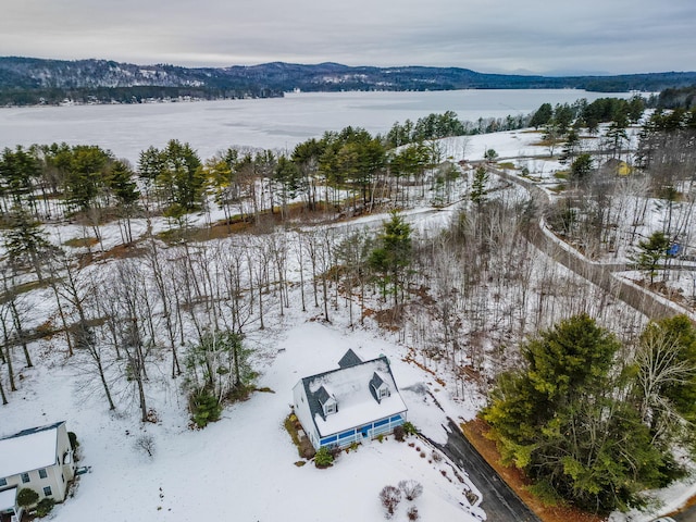 snowy aerial view featuring a mountain view