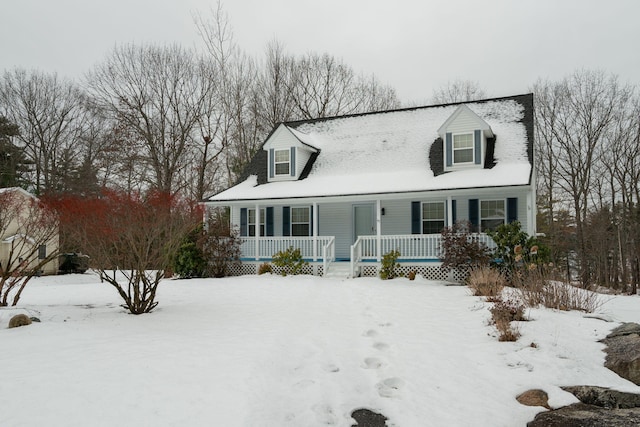 view of cape cod home