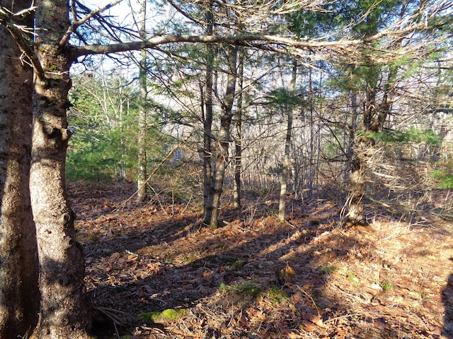 68 Quarry Rd, Sullivan ME, 04664 land for sale