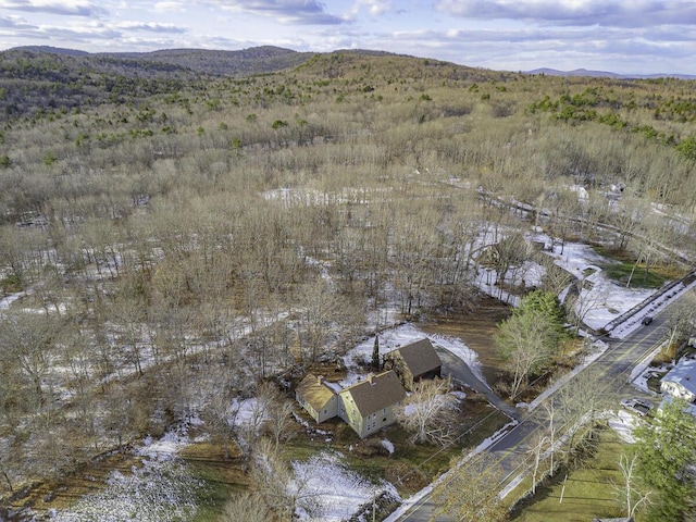 drone / aerial view with a mountain view