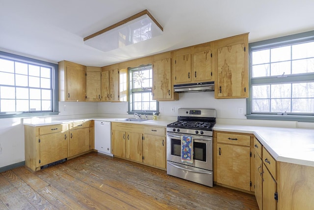 kitchen with light hardwood / wood-style floors, sink, dishwasher, and stainless steel range with gas stovetop