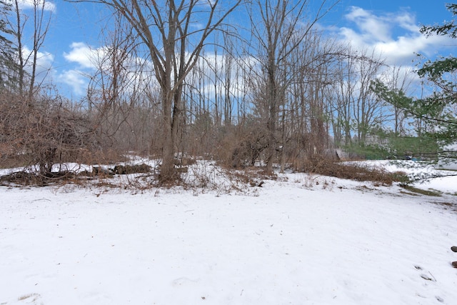 1696 N Rd, Parsonsfield, ME 04047 - view of yard layered in snow