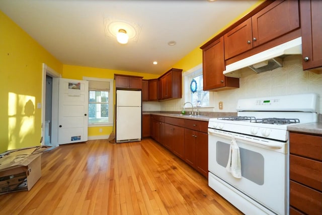 kitchen featuring backsplash, light hardwood / wood-style flooring, white appliances, and sink