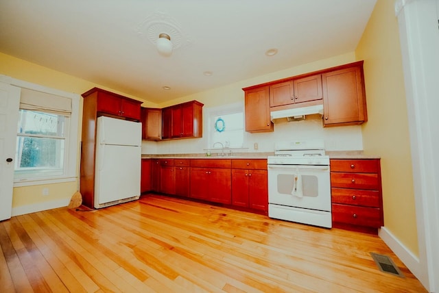 kitchen with light wood-type flooring, white appliances, and sink