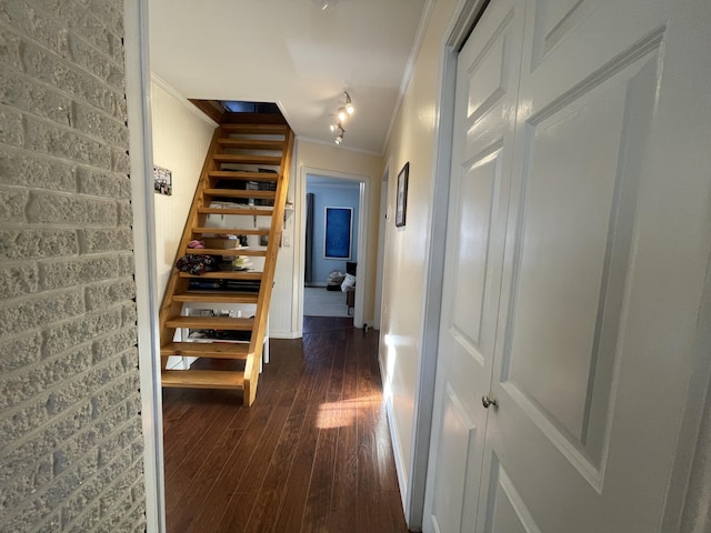 corridor with crown molding and dark hardwood / wood-style floors