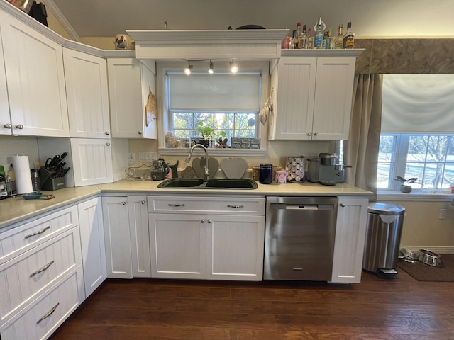 kitchen with dark wood-type flooring, a healthy amount of sunlight, sink, and stainless steel dishwasher