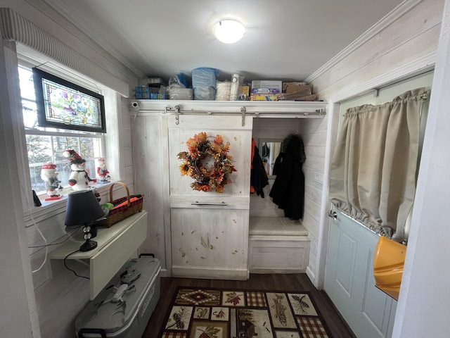 mudroom with dark hardwood / wood-style flooring and ornamental molding