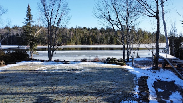 snowy yard with a water view