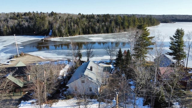 snowy aerial view featuring a water view