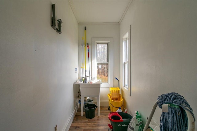 hall with ornamental molding and hardwood / wood-style flooring