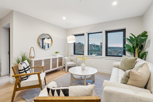 living room featuring hardwood / wood-style floors