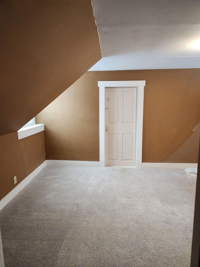 additional living space with carpet