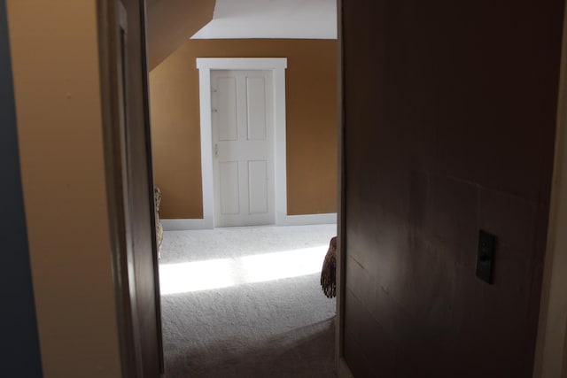 hallway with carpet flooring