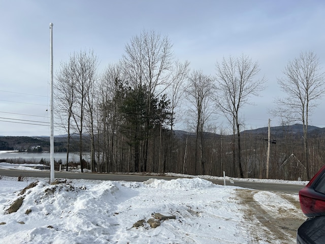 view of snowy yard