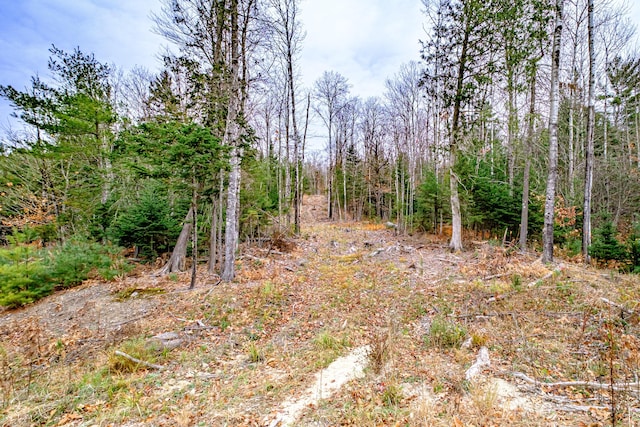 view of local wilderness