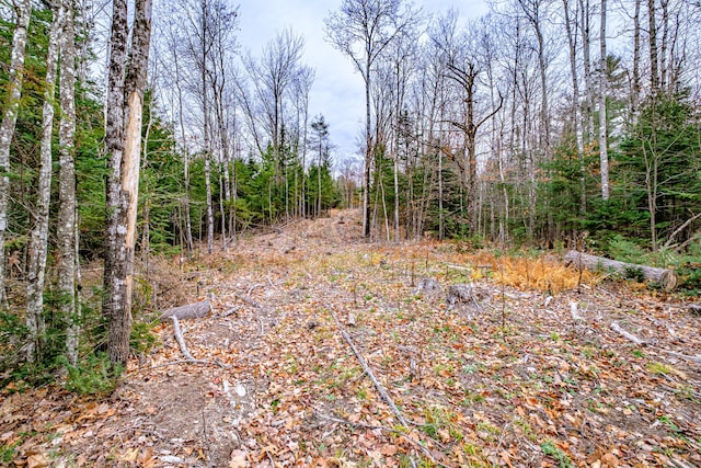 view of local wilderness