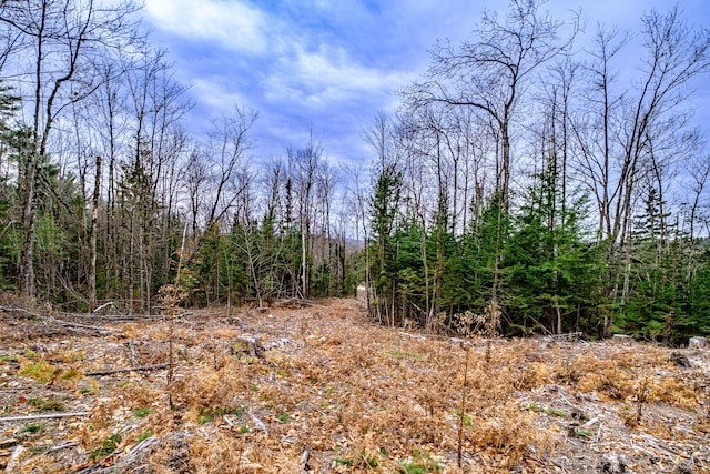 view of local wilderness