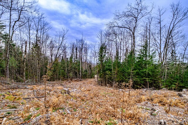 LOT22 Mountain Valley Road Ext, Bethel, ME 04217 - photo 9