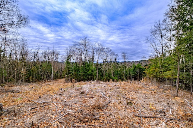 view of local wilderness