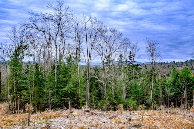 view of local wilderness