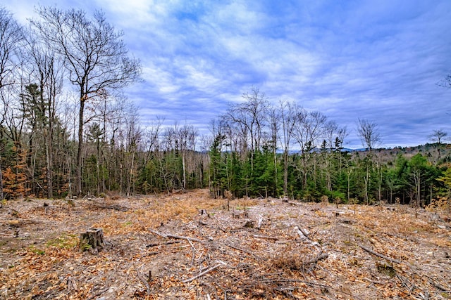 view of local wilderness