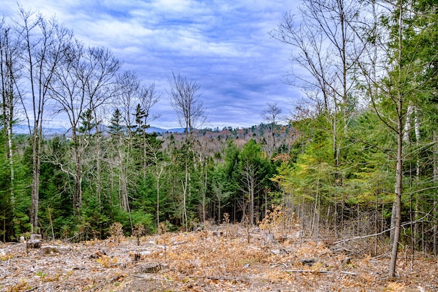 view of landscape