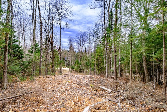 LOT22 Mountain Valley Road Ext, Bethel, ME 04217 - photo 15