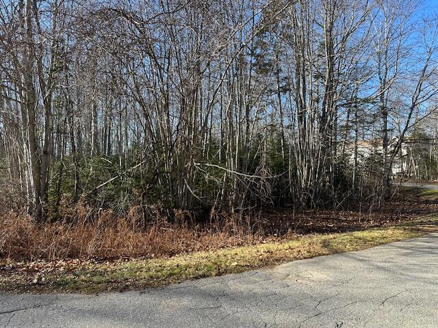 Listing photo 2 for 118-63 Greenfield Dr, Camden ME 04843