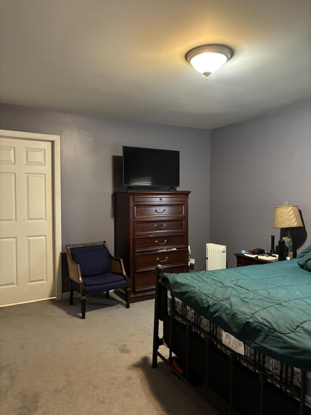 carpeted bedroom with radiator heating unit