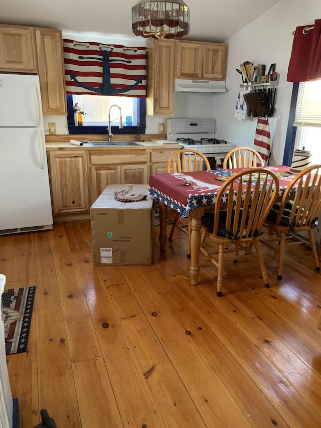 kitchen featuring plenty of natural light, white appliances, sink, and light hardwood / wood-style flooring