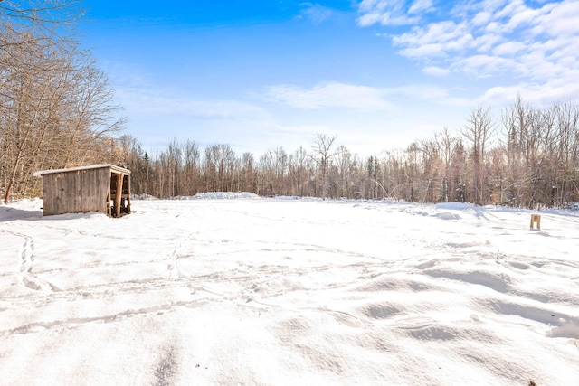 view of yard covered in snow