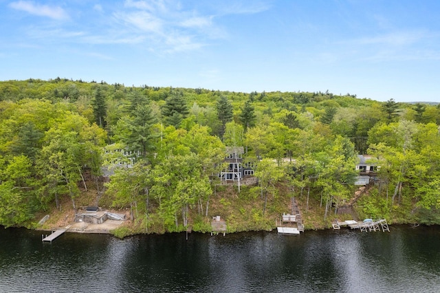 170 Red Gate Ln, Acton, ME 04001 - view of subject property with a nearby body of water and a forest
