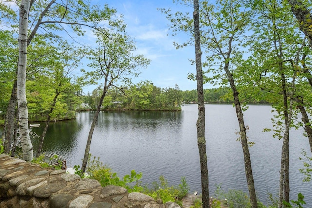 170 Red Gate Ln, Acton, ME 04001 - water view with a heavily wooded area