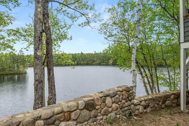 170 Red Gate Ln, Acton, ME 04001 - water view featuring a heavily wooded area