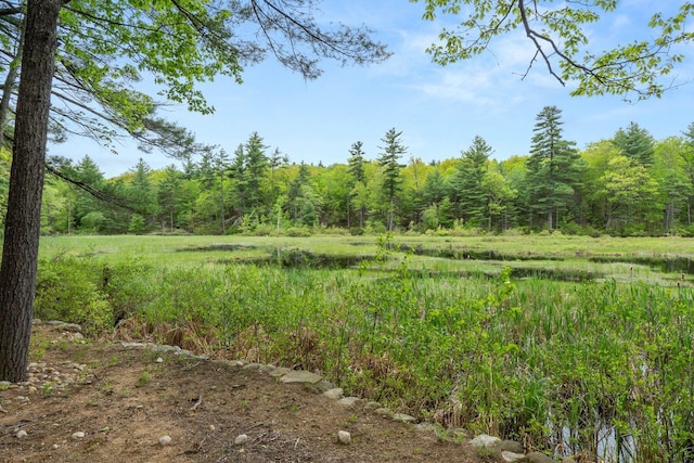 170 Red Gate Ln, Acton, ME 04001 - view of yard with a view of trees