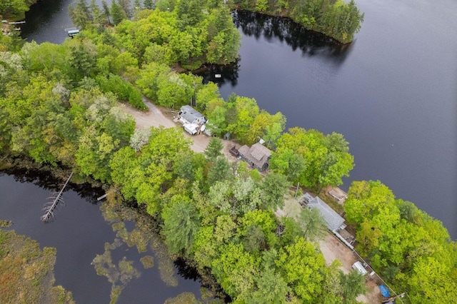 170 Red Gate Ln, Acton, ME 04001 - aerial view of a large body of water