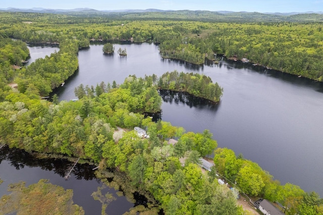 170 Red Gate Ln, Acton, ME 04001 - aerial view of property and surrounding area featuring a forest and a water and mountain view