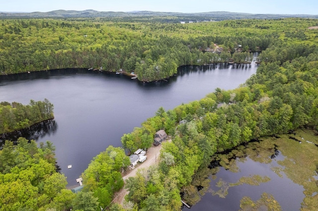 170 Red Gate Ln, Acton, ME 04001 - view of property location featuring a heavily wooded area and a large body of water