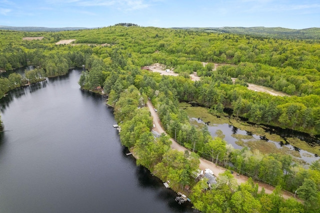 170 Red Gate Ln, Acton, ME 04001 - aerial view of property and surrounding area featuring a forest and a nearby body of water