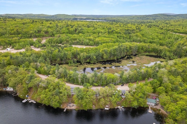 170 Red Gate Ln, Acton, ME 04001 - aerial view of property and surrounding area featuring a forest and a nearby body of water