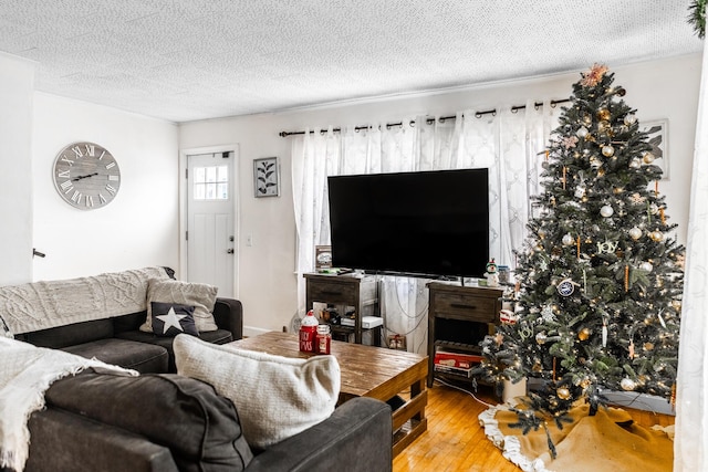 living room featuring hardwood / wood-style flooring and a textured ceiling