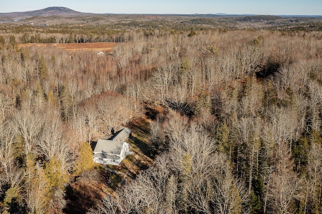 681 Sedgwick Ridge Rd, Sedgwick, ME 04676 - bird's eye view of a heavily wooded area