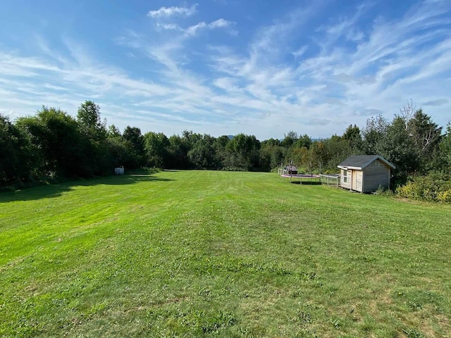 view of yard featuring a storage shed