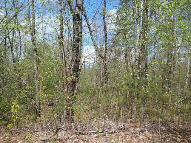41 Federal Rd, Fryeburg, ME 04037