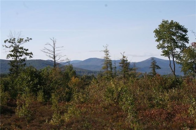 41 Federal Rd, Fryeburg, ME 04037