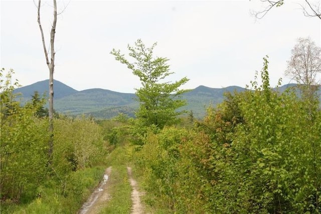 41 Federal Rd, Fryeburg, ME 04037