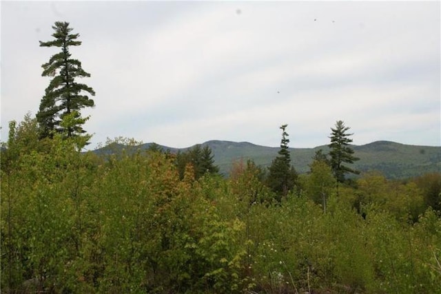 41 Federal Rd, Fryeburg, ME 04037