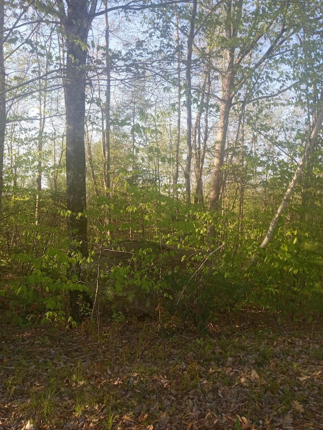 41 Federal Rd, Fryeburg, ME 04037