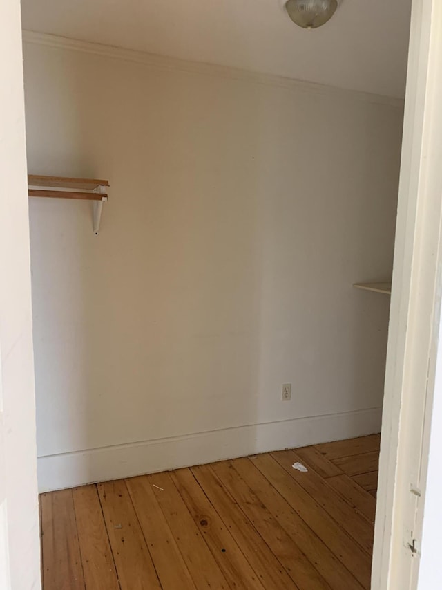 spacious closet featuring wood-type flooring